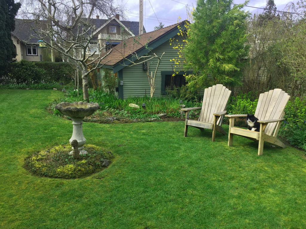 arnold01.jpg - 201924 Bytes