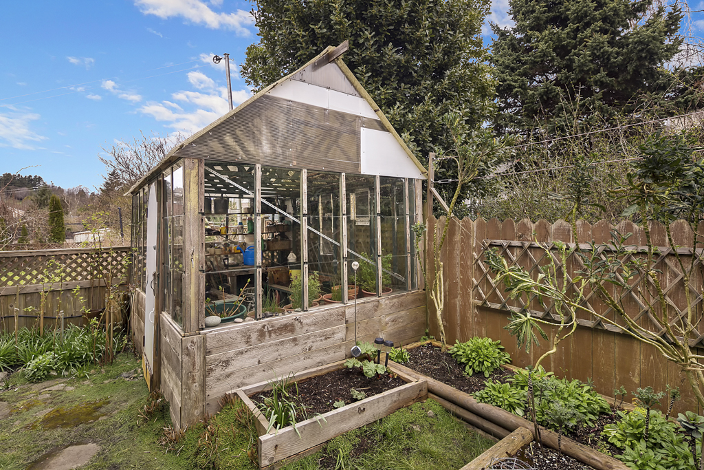 arnold01.jpg - 201924 Bytes