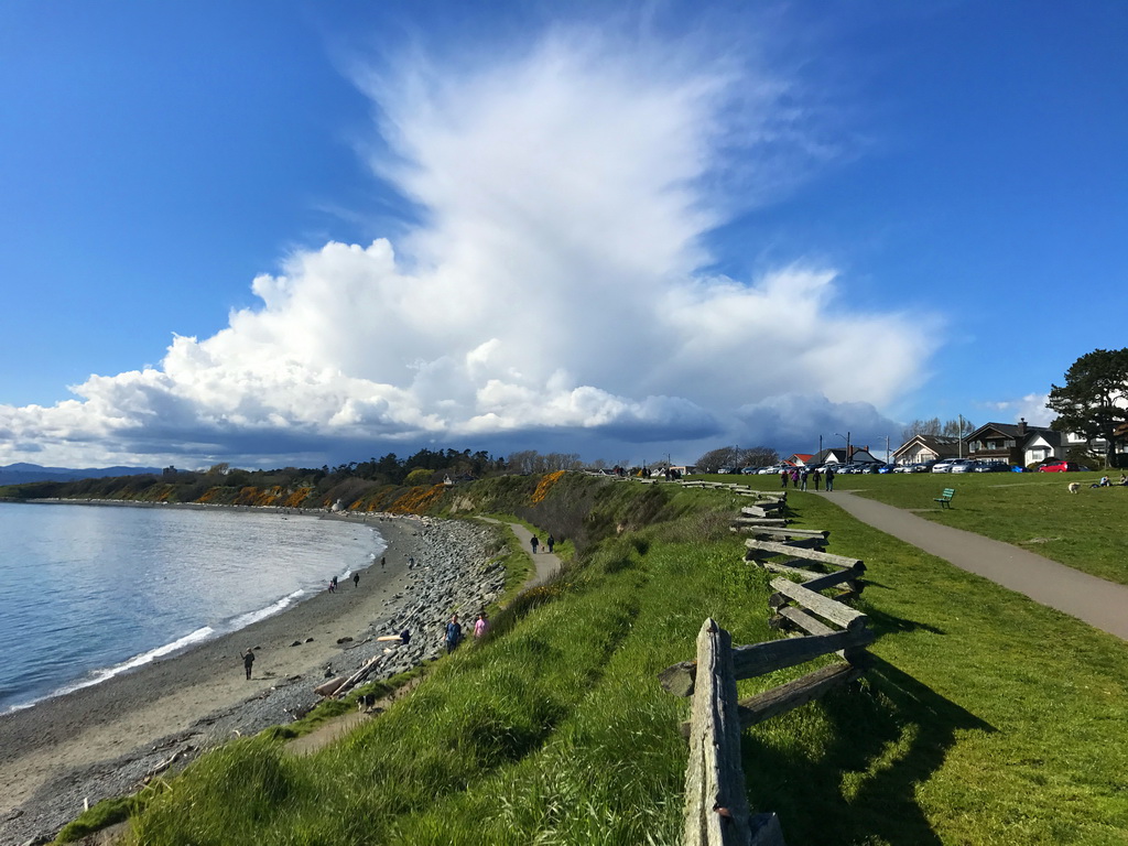 Welcome to B - 19 Cook Street