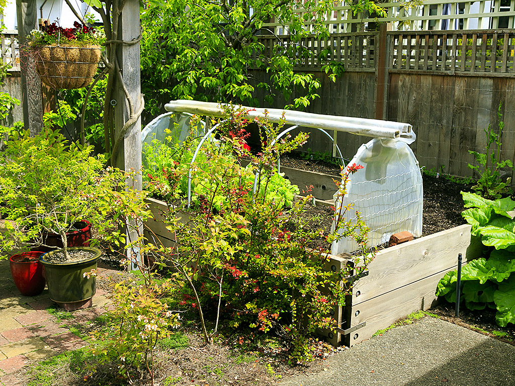 Welcome to B - 19 Cook Street