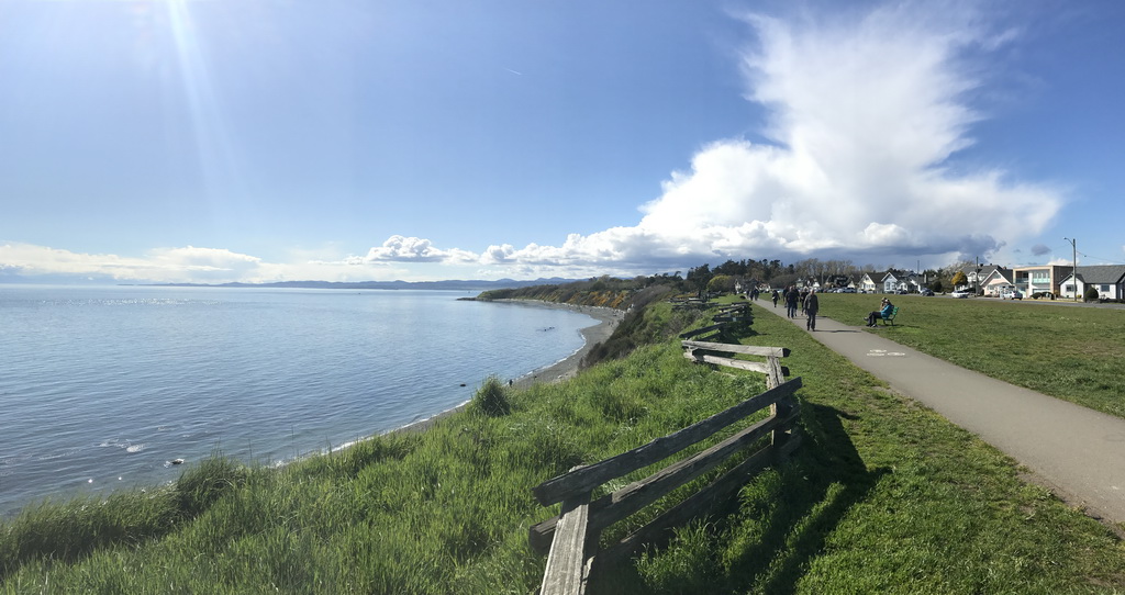 Welcome to B - 19 Cook Street