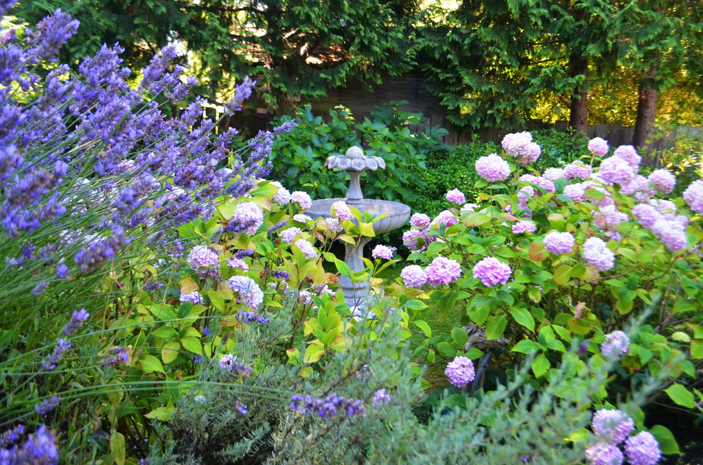 hamp04.jpg - 170953 Bytes