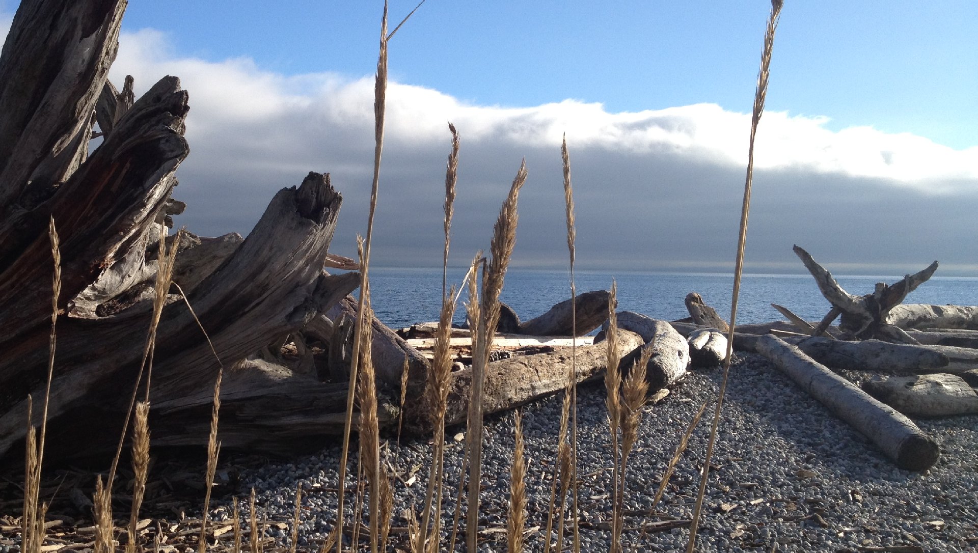 __aerial.jpg - 806574 Bytes